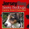 JerseyDog Seeks Bedbugs